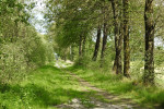 Wierdense Veld